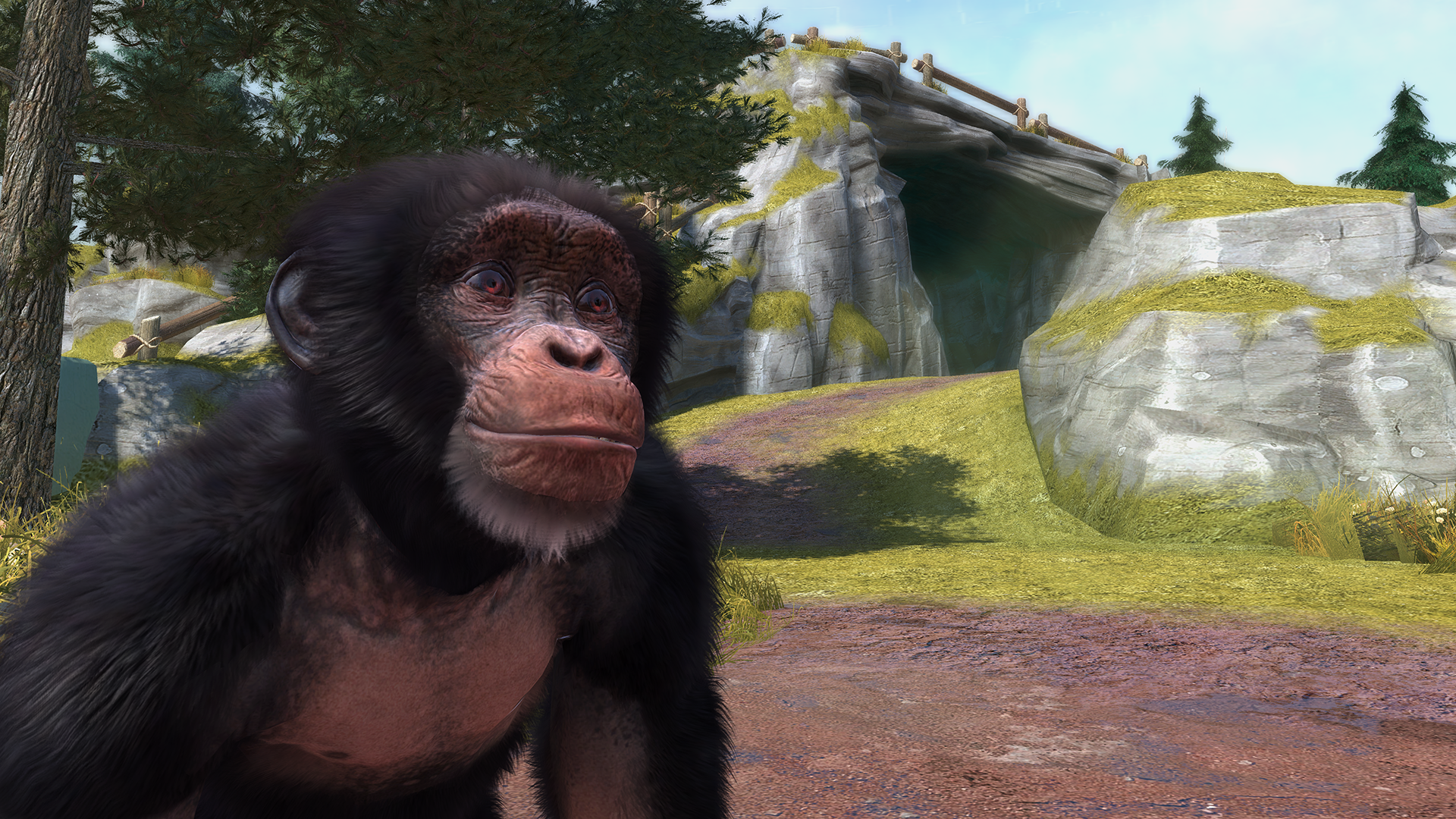 Zoo Tycoon demo now available on Xbox 360 - Polygon