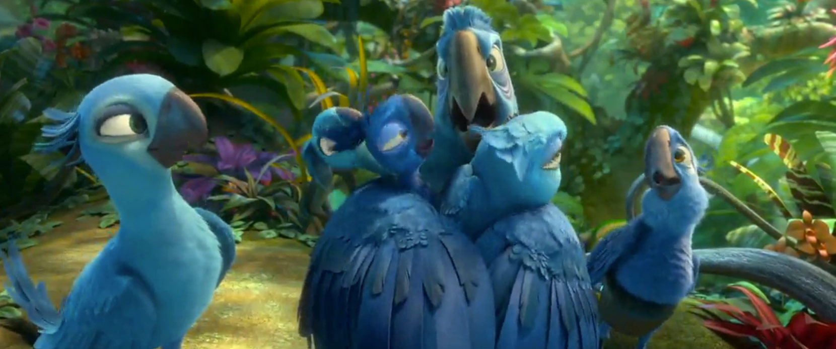 Rio 2 Review Eggplante