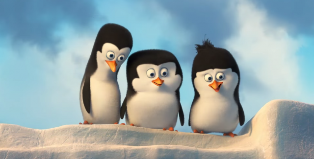 Penguins - Footage 3